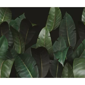 Wall&Deco  CWC  Flower and Paints