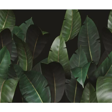 Wall&Deco  CWC  Flower and Paints