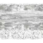 Prestige / Wallfor 2 tapéta