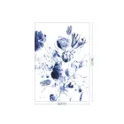 KEK Amsterdam / WP - Poszter