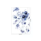 KEK Amsterdam / WP - Poszter