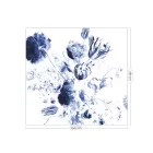 KEK Amsterdam / WP - Poszter