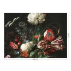 KEK Amsterdam / WP - Poszter