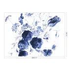 KEK Amsterdam / WP - Poszter