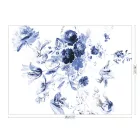 KEK Amsterdam / WP - Poszter