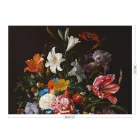 KEK Amsterdam / WP - Poszter