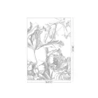 KEK Amsterdam / WP - Poszter