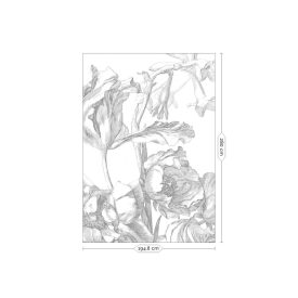 KEK Amsterdam / WP - Poszter