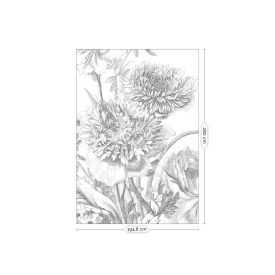 KEK Amsterdam / WP - Poszter