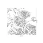 KEK Amsterdam / WP - Poszter