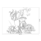 KEK Amsterdam / WP - Poszter