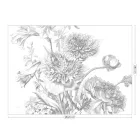 KEK Amsterdam / WP - Poszter