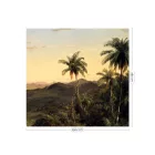 KEK Amsterdam / WP - Poszter