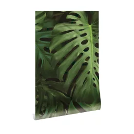 KEK Amsterdam / WP - Poszter