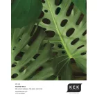 KEK Amsterdam / WP - Poszter