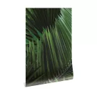 KEK Amsterdam / WP - Poszter