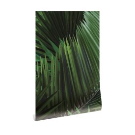 KEK Amsterdam / WP - Poszter