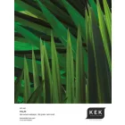 KEK Amsterdam / WP - Poszter