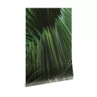 KEK Amsterdam / WP - Poszter