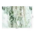 KEK Amsterdam / WP - Poszter