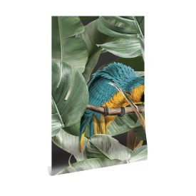 KEK Amsterdam / WP - Poszter