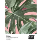 KEK Amsterdam / WP - Poszter