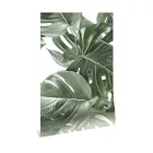 KEK Amsterdam / WP - Poszter