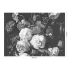 KEK Amsterdam / WP - Poszter