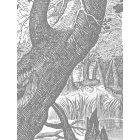 KEK Amsterdam / WP - Poszter