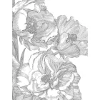 KEK Amsterdam / WP - Poszter