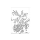 KEK Amsterdam / WP - Poszter