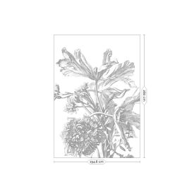 KEK Amsterdam / WP - Poszter