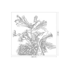 KEK Amsterdam / WP - Poszter