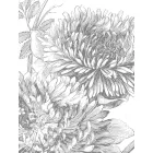 KEK Amsterdam / WP - Poszter