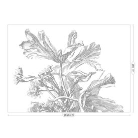 KEK Amsterdam / WP - Poszter