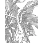 KEK Amsterdam / WP - Poszter