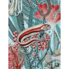 KEK Amsterdam / WP - Poszter