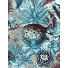 KEK Amsterdam / WP - Poszter