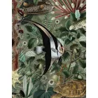 KEK Amsterdam / WP - Poszter