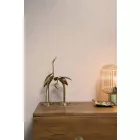 KEK Amsterdam / tapéta