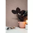 KEK Amsterdam / tapéta