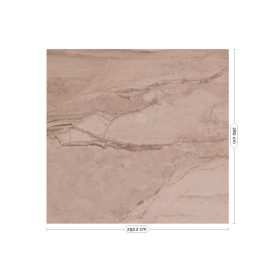 KEK Amsterdam / WP - Poszter