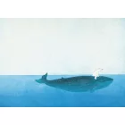 KEK Amsterdam / WS - Poszter