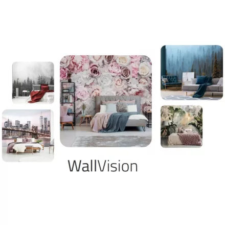 WallVision / 2026 mintakönyv