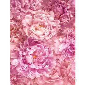 Komar / Home Imagine Edition 4 poszter