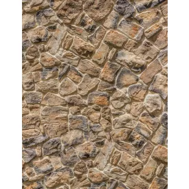 Komar / Home Imagine Edition 4 poszter