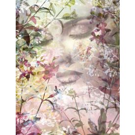 Komar / Home Imagine Edition 4 poszter