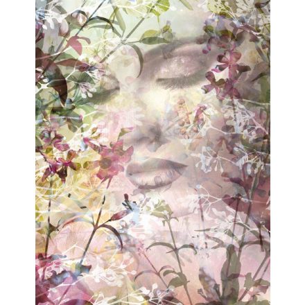 Komar / Home Imagine Edition 4 poszter