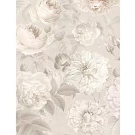 Komar / Home Imagine Edition 4 poszter