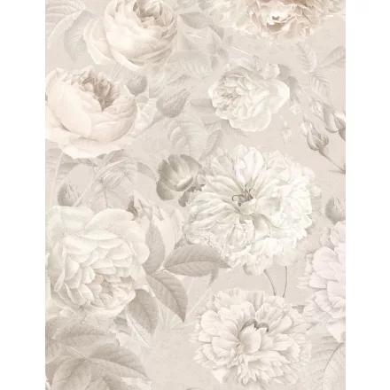 Komar / Home Imagine Edition 4 poszter